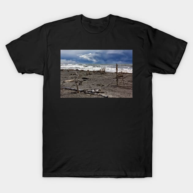 Hokitika Beach 1 T-Shirt by charlesk